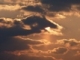 アバター